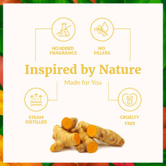Steam-distilled turmeric roots used to produce turmeric oil