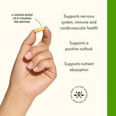 Illustration of B vitamin ingredients B1 through B12