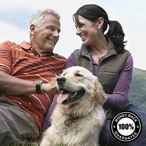 Easy-to-swallow capsules for nutrient absorption