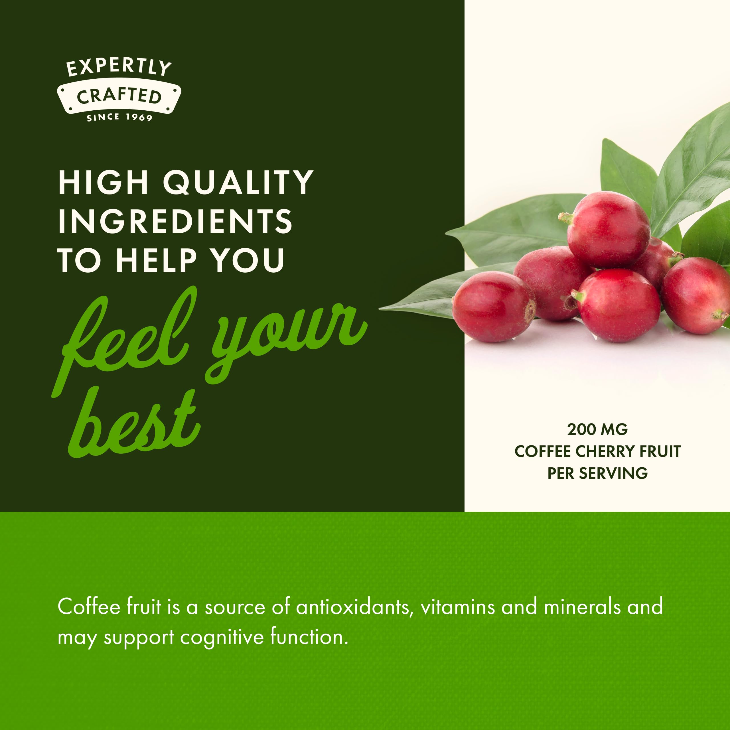 Coffee cherry fruit and nutrients illustration