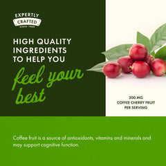 Coffee cherry fruit and nutrients illustration