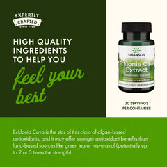 Brain health and cognitive support concept with capsules