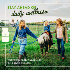 Kudzu Root supplement packaging