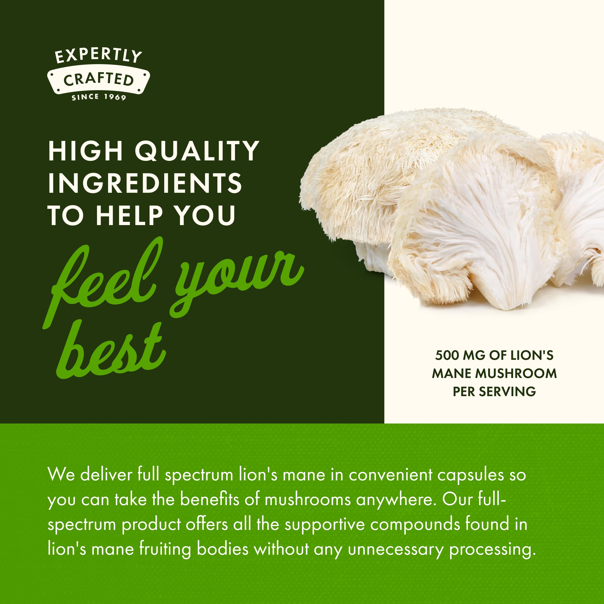 Two-pack Swanson Lion's Mane Full Spectrum product