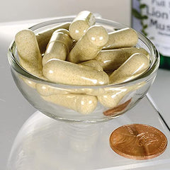 Graphic highlighting brain health benefits of Lion's Mane mushroom