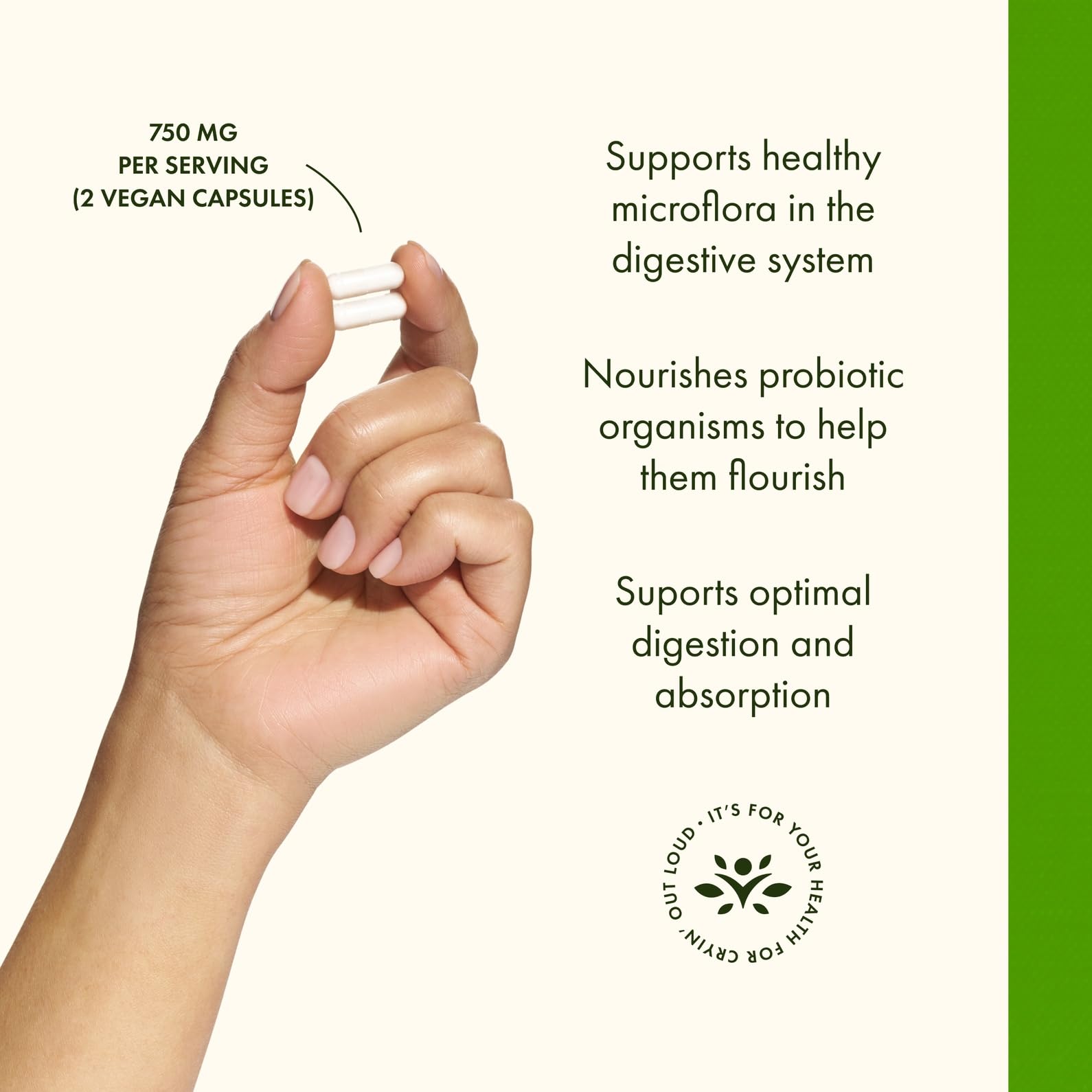 Ingredient panel for Swanson Prebiotic Capsules