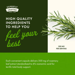 Close-up of Swanson Rosemary Extract capsules