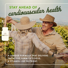 Graphic illustrating heart health benefits of ubiquinol