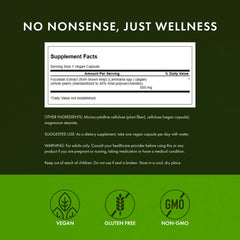 Close-up of Swanson Fucoidan 500mg capsules