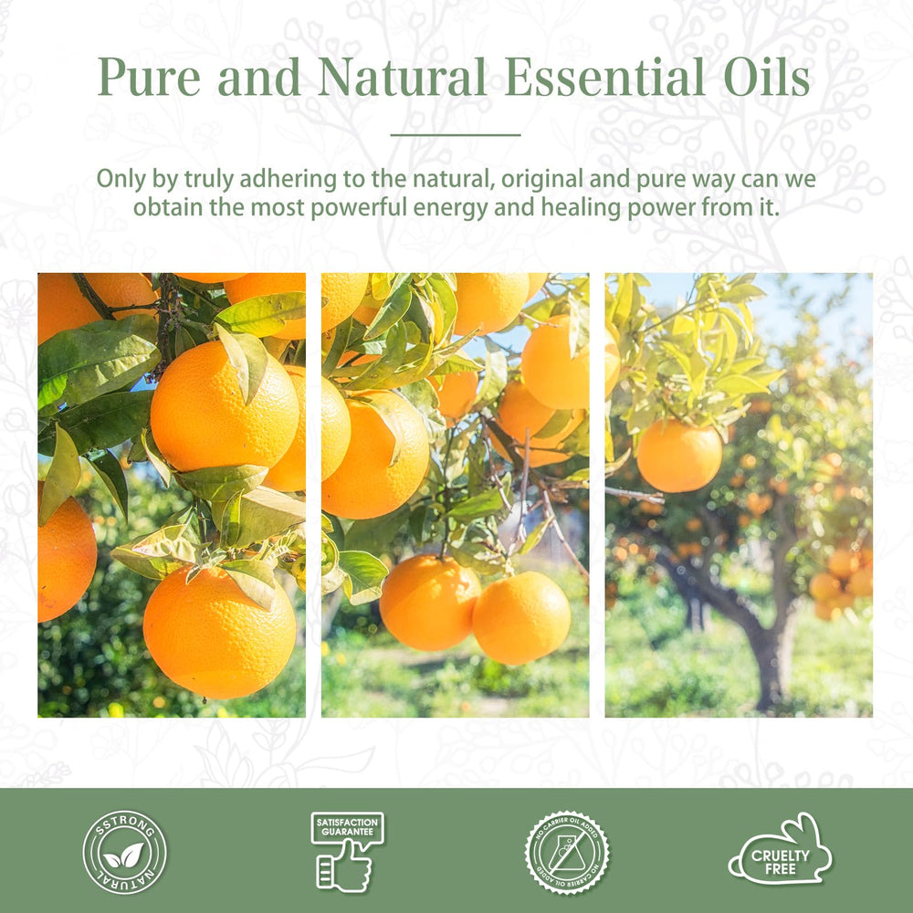 Gift-ready packaging for Sweet Orange essential oil