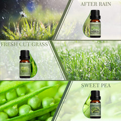 Sweet Pea fragrance oil