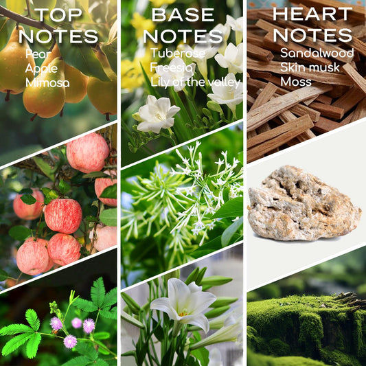 Hilton-inspired aroma profile with mimosa, tuberose, freesia and lily of the valley