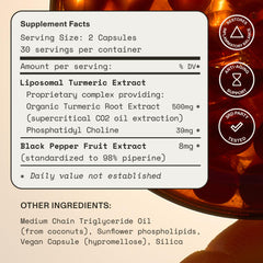 Synchro Gold Piperine illustration emphasizing improved absorption potential.