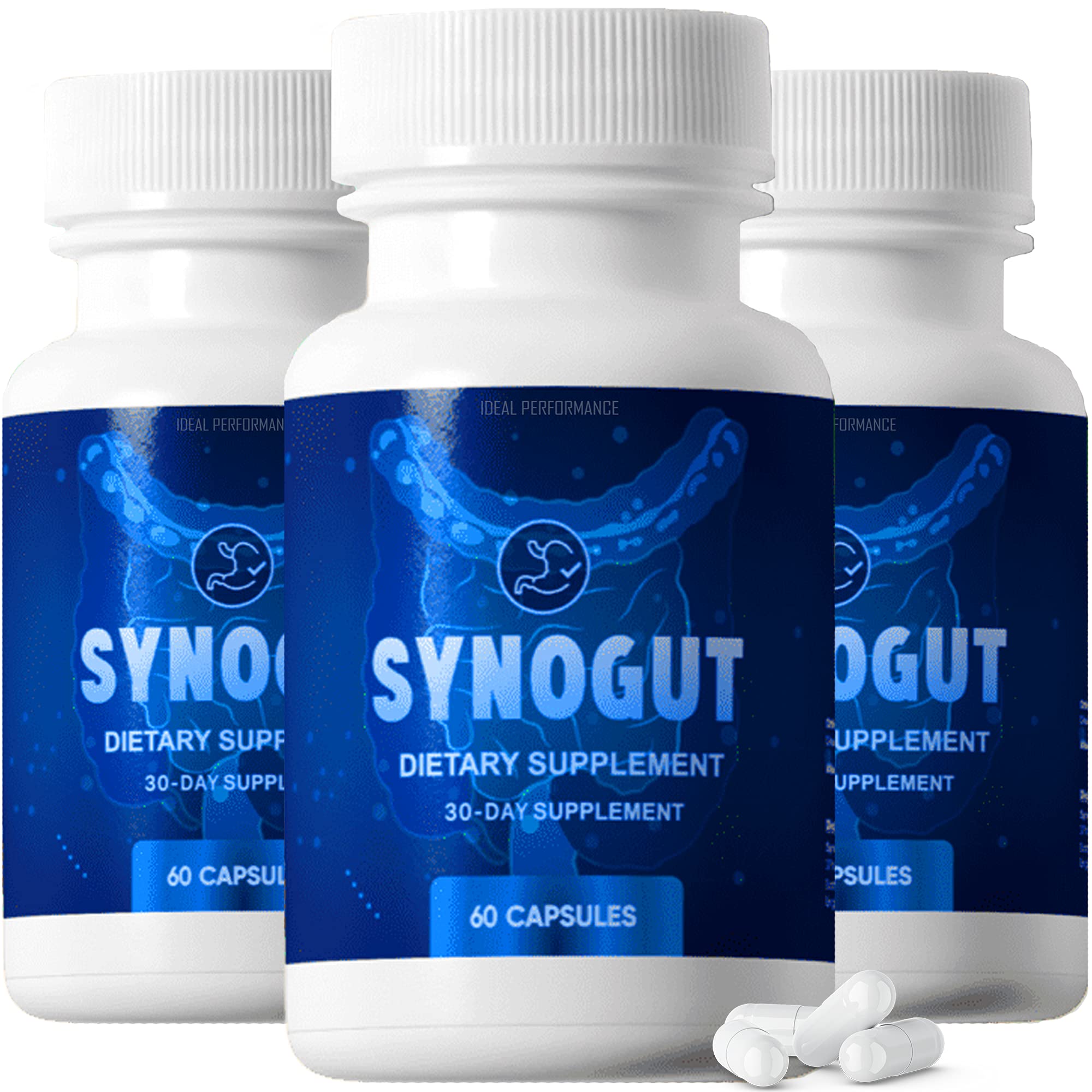 Synogut Pills bottle for gut health - 3 bottle bundle