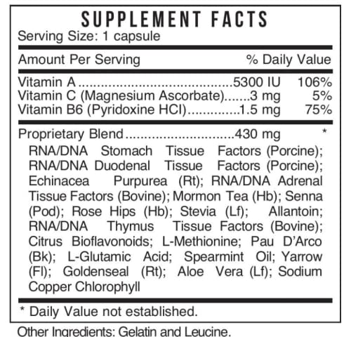 Diagram illustrating tissue healing and digestive health associated with Systemic Formulas 6 Restore