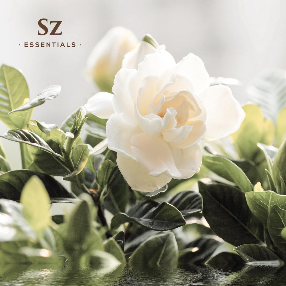 Gardenia essential oil dropper in glass bottle