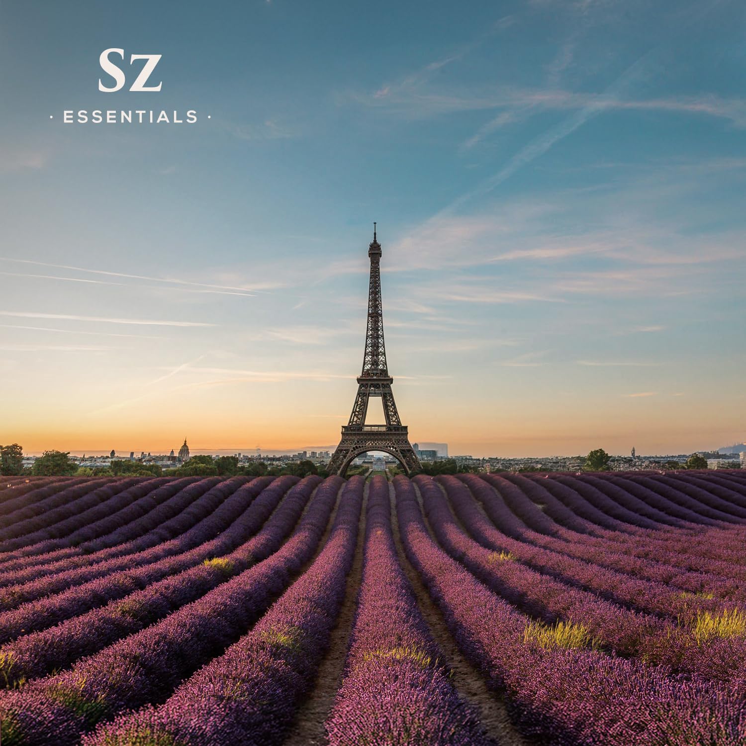 Diffuser scene featuring Grasse Lavender Essential Oil for aromatherapy