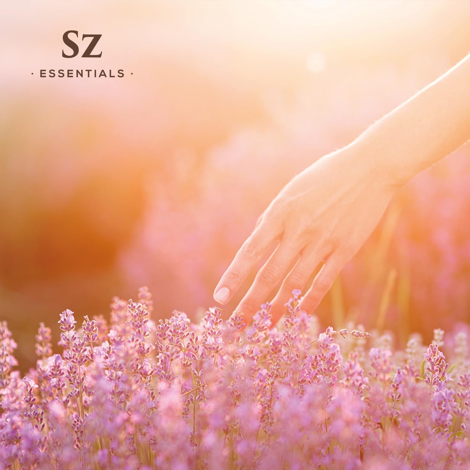 Sz Essentials Grasse Lavender Essential Oil packaging and branding