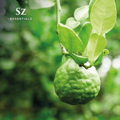 Pure Kaffir Lime Leaf Essential Oil with a green label
