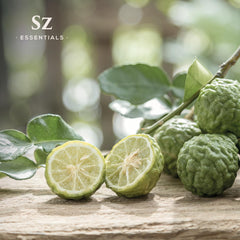 Aromatherapy diffuser ready to diffuse Kaffir Lime scent