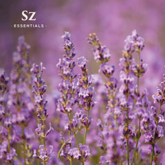 Pipette dispensing Kashmir Lavender Essential Oil