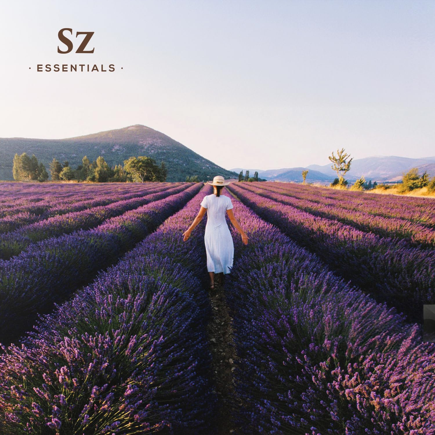 Flat lay of Kashmir Lavender Essential Oil with wooden surface