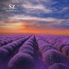 Diffuser with Kashmir Lavender Essential Oil for aromatherapy