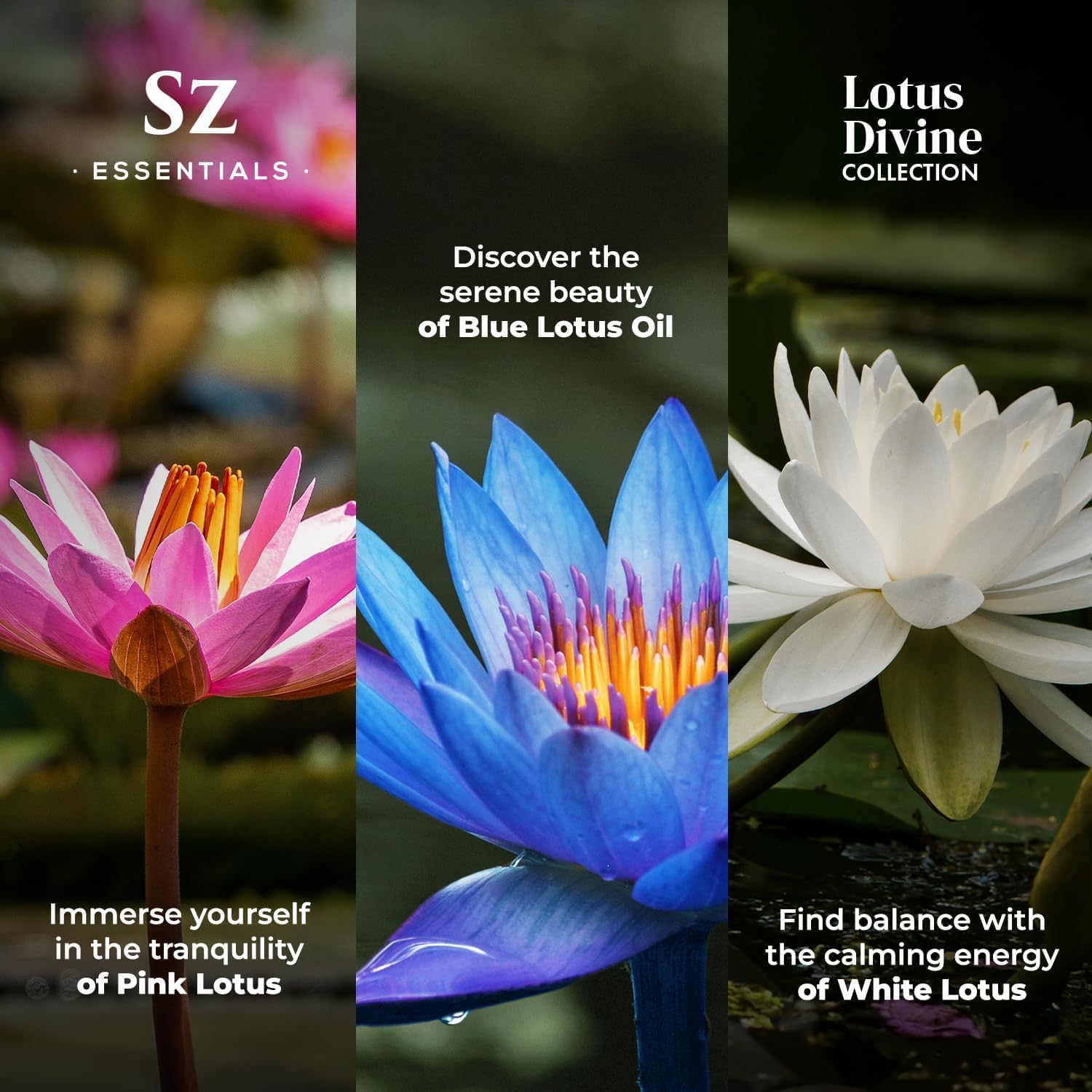 Pink Lotus essential oil bottle (5ml) from Sz Essentials