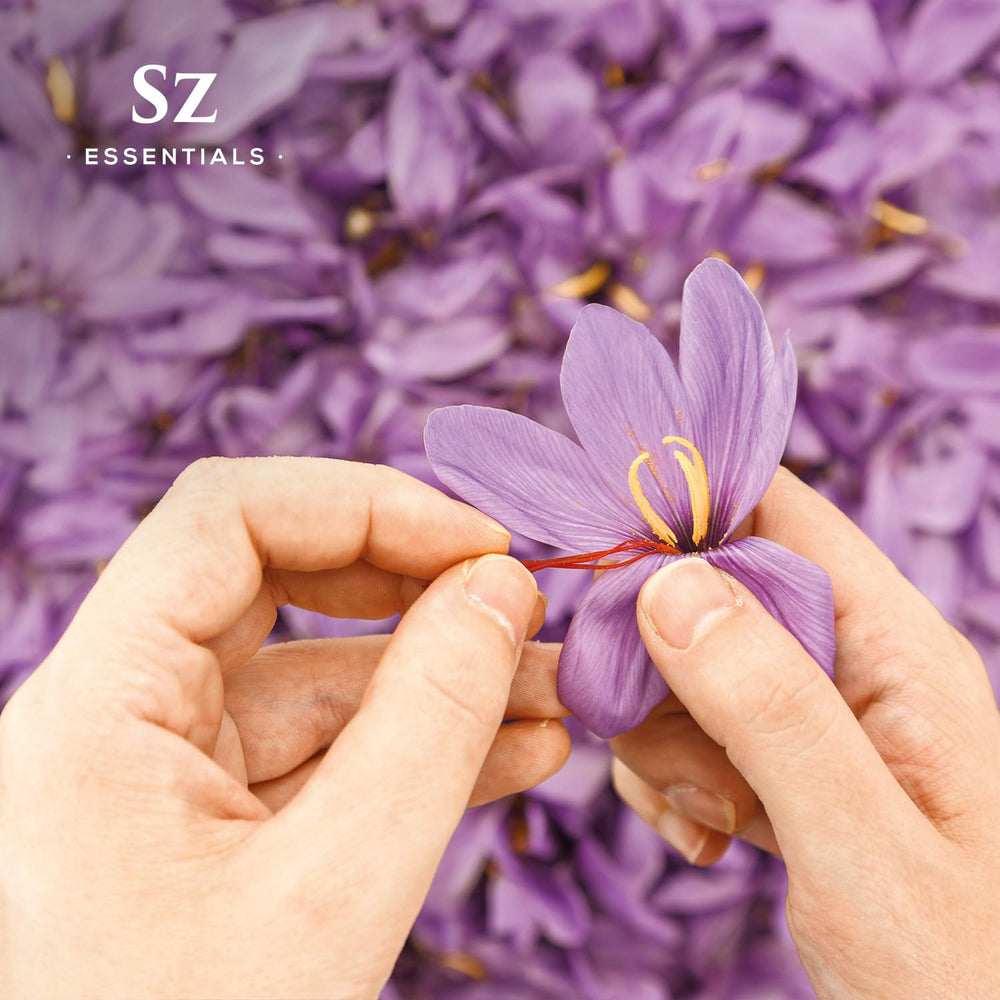 Dried saffron threads highlighting rich color