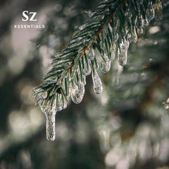 Label close-up showing 100% Pure Silver Pine (Pinus Sylvestris) Essential Oil