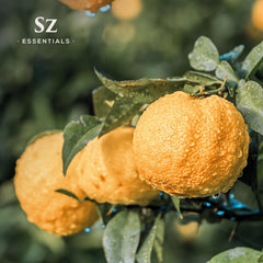 Aromatherapy diffuser emitting citrusy Yuzu scent