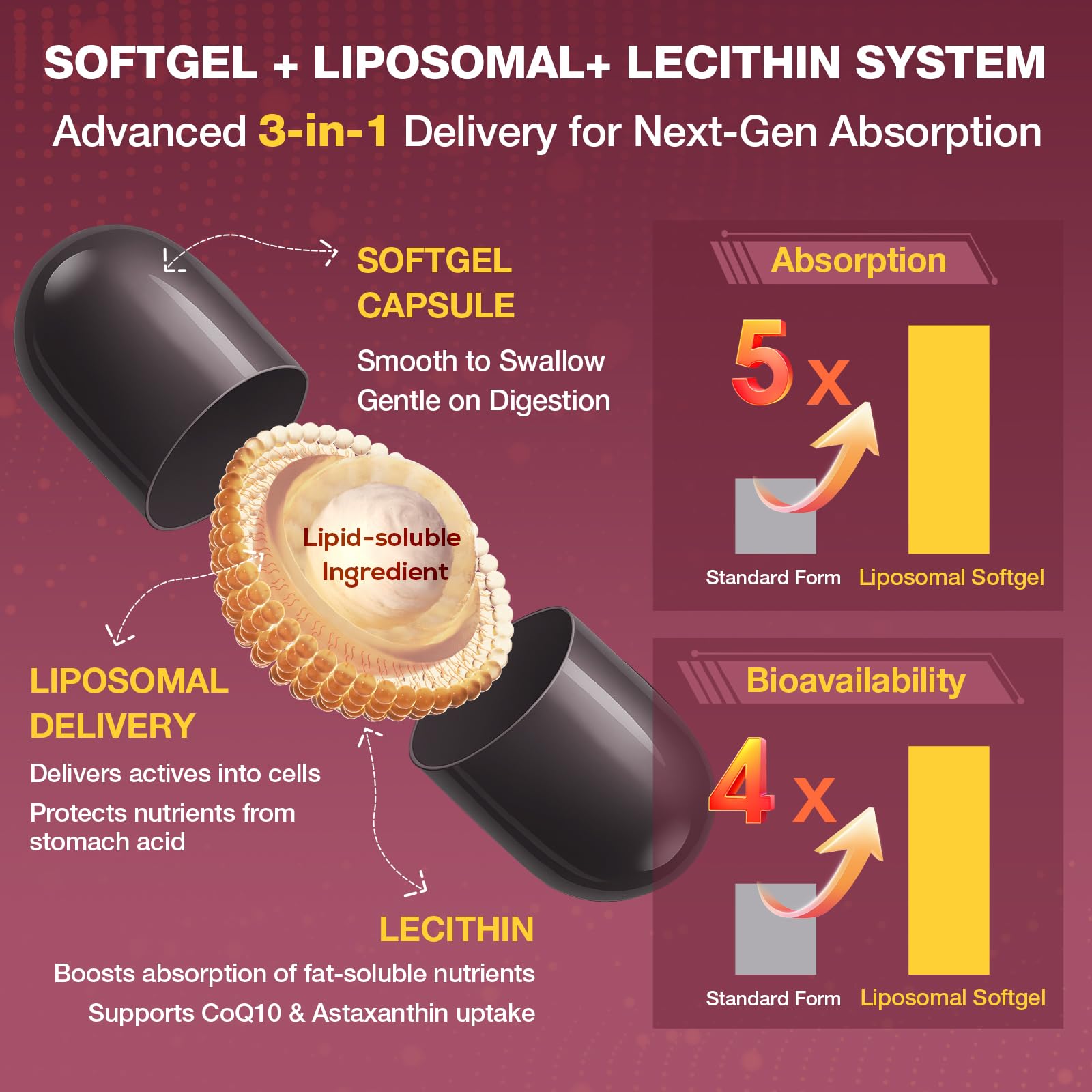 Liposomal delivery system for enhanced absorption