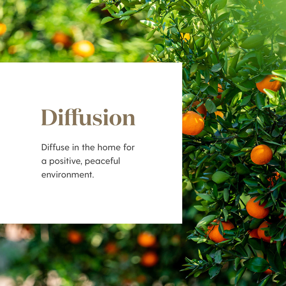 Ingredient blend of Tangerine, Orange, Ylang Ylang, Patchouli