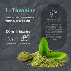 Ingredients graphic for Tao in a Bottle herbal formula