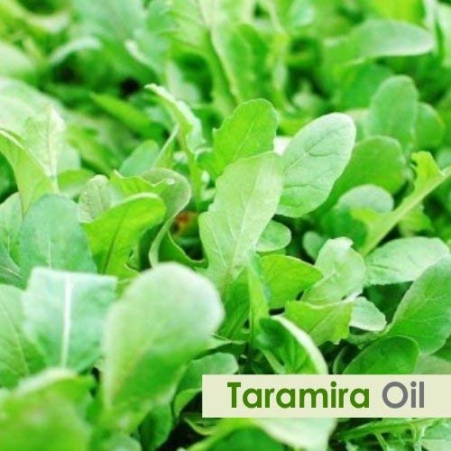 Taramira essential oil bottle close-up