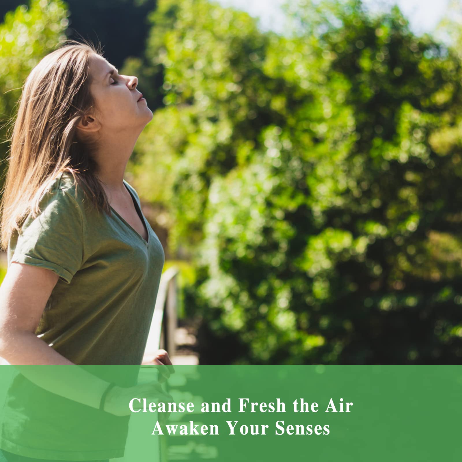 Macro of tea tree leaves