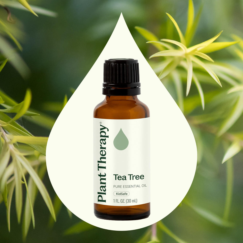 Illustration of topical use: Tea Tree Oil dilution guidance