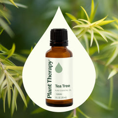 Illustration of topical use: Tea Tree Oil dilution guidance