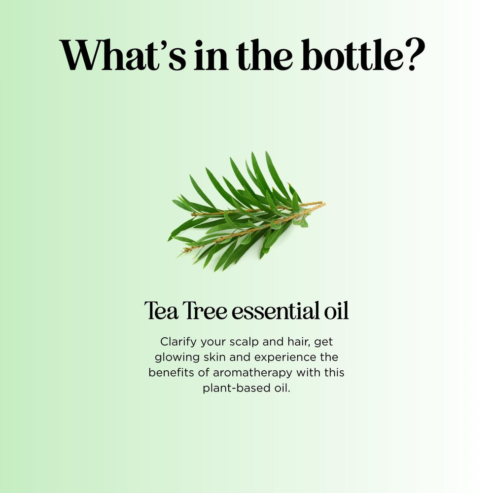 tea tree oil used for aromatherapy and diffusing