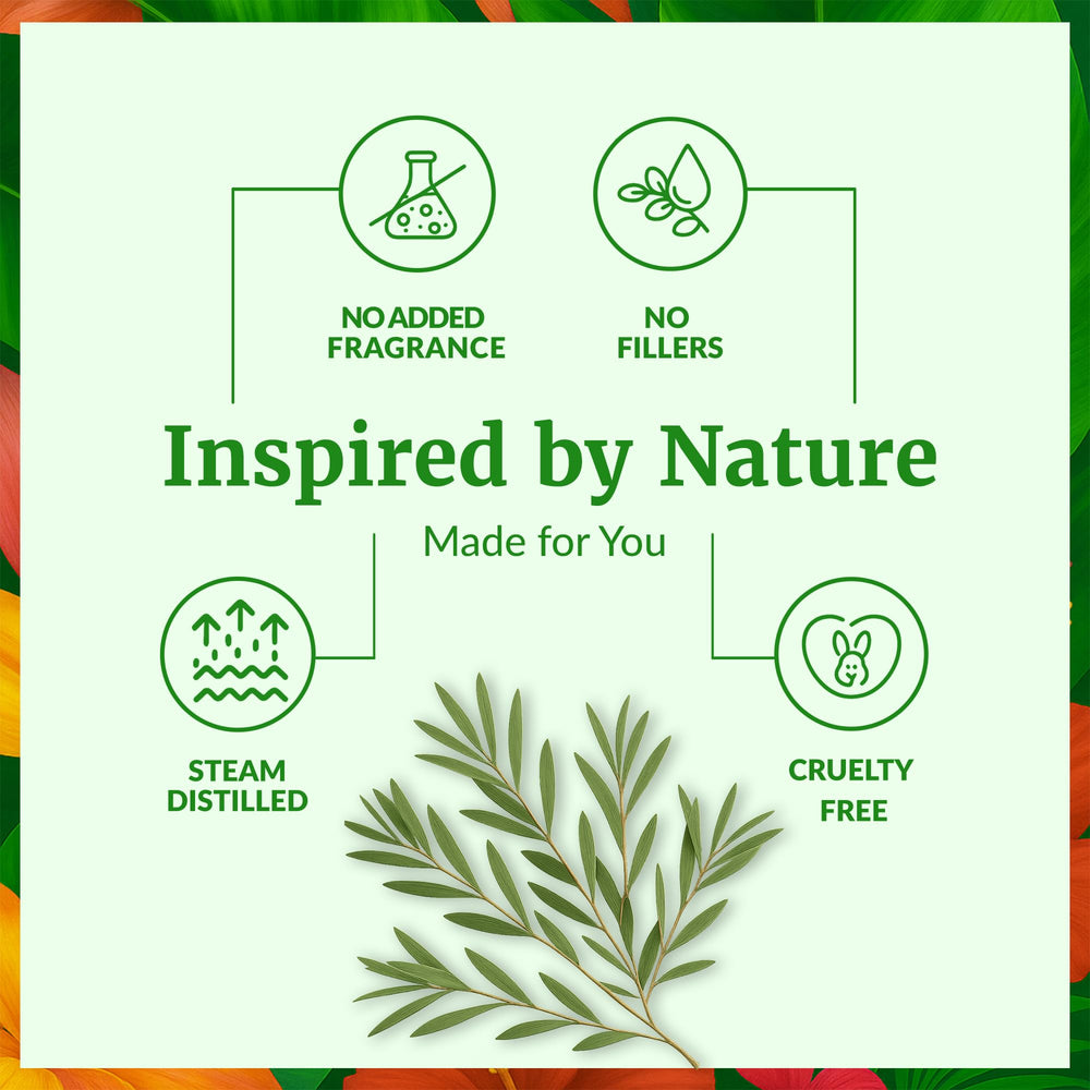 Tea tree oil used in diffuser for aromatherapy