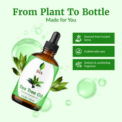 Hair care: tea tree oil applied to scalp