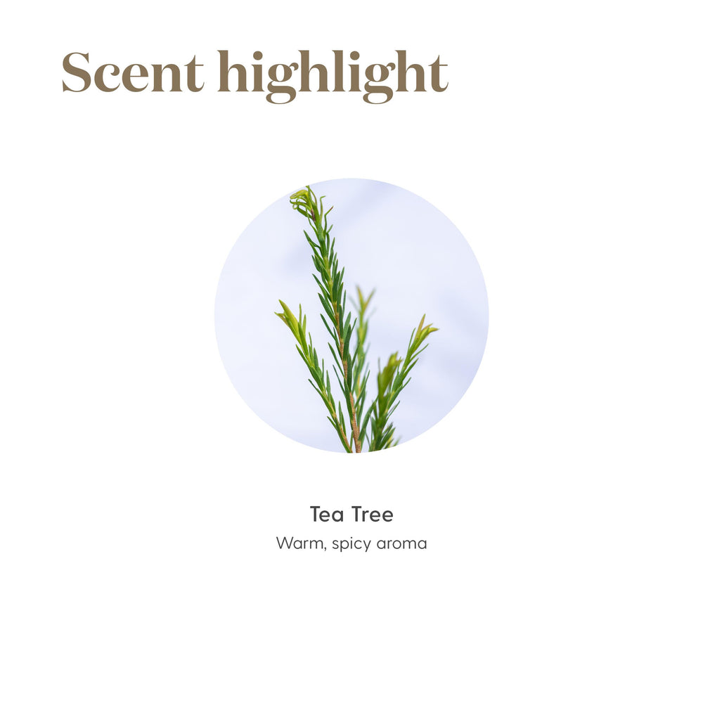Tea Tree Oil ingredients