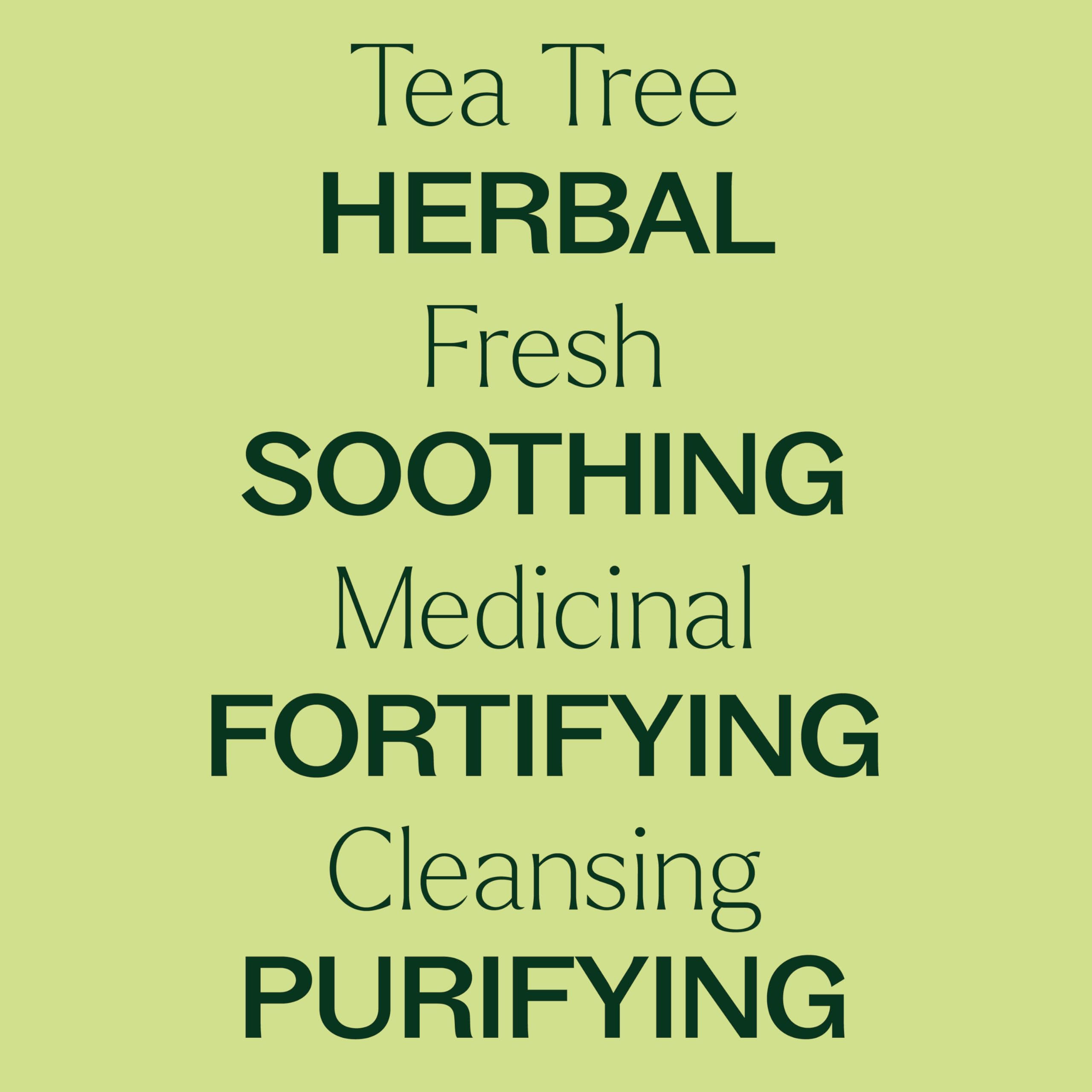 Packaging and bottle of Plant Therapy Tea Tree Oil 10 mL