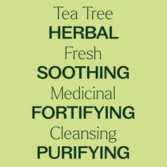 Packaging and bottle of Plant Therapy Tea Tree Oil 10 mL