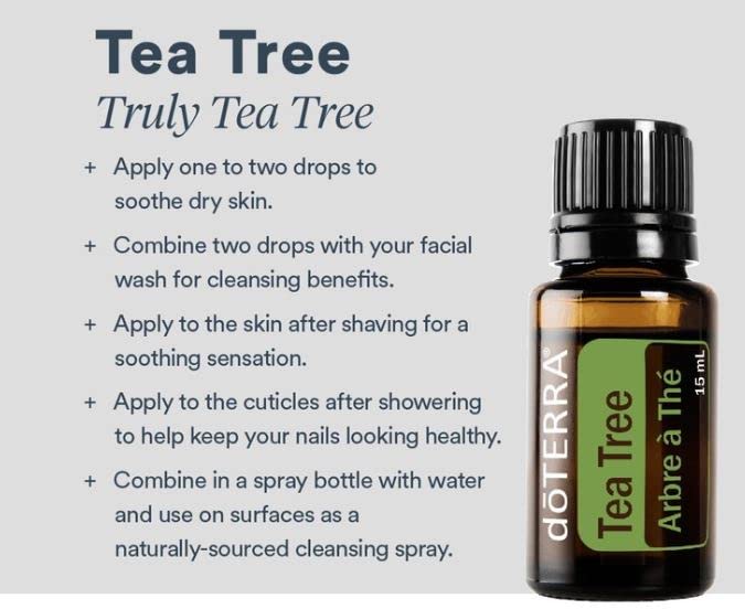 Spray bottle with water for surface cleansing using tea tree oil