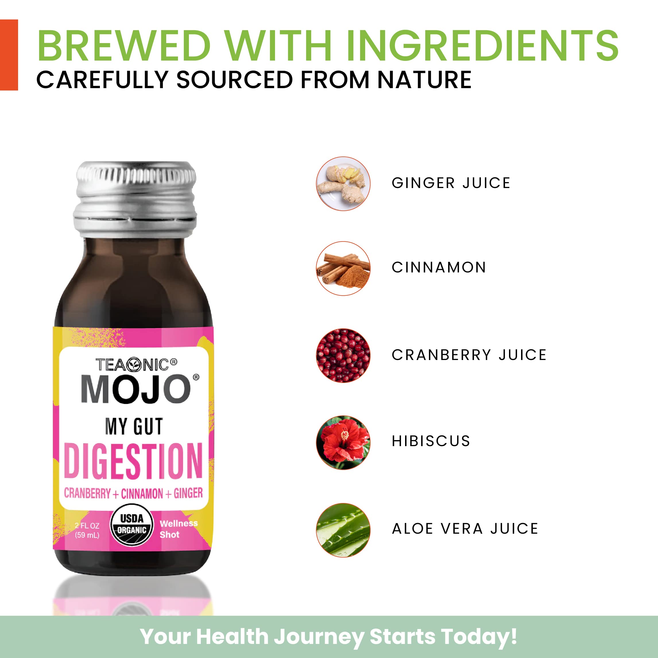 Ingredients: lemon, ginger, and cranberries in TEAONIC Mojo