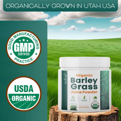 Ingredients list for Teaveli Barley Grass Juice Powder