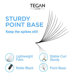 TEGAN LASH 500 promade fans curl types: natural C/CC/D curl variety.