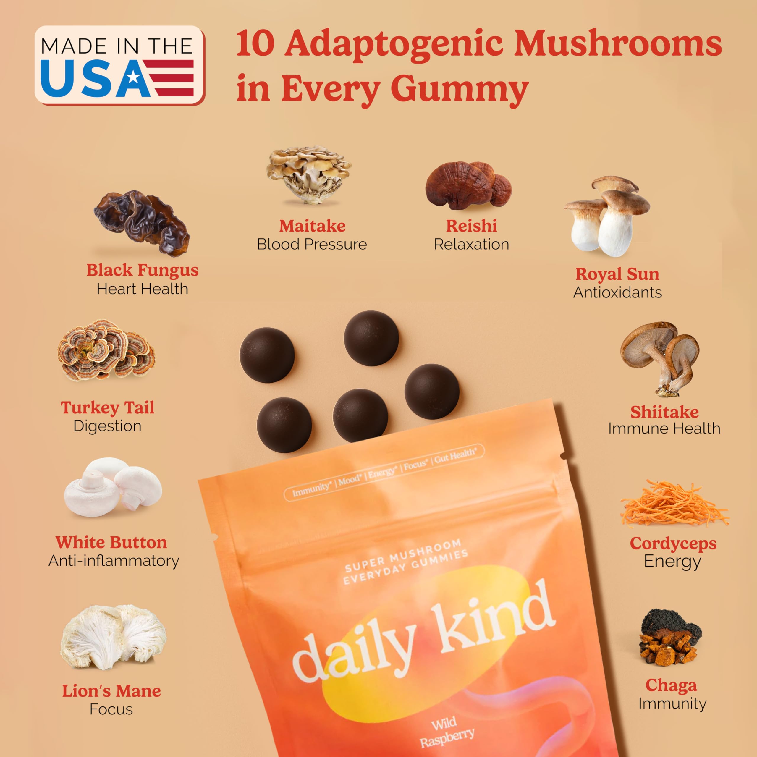 Ingredients for the 10-in-1 mushroom blend