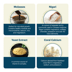 Doctor-formulated EM-X Gold packaging supports a wellness-forward routine.